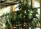 Fenster 5